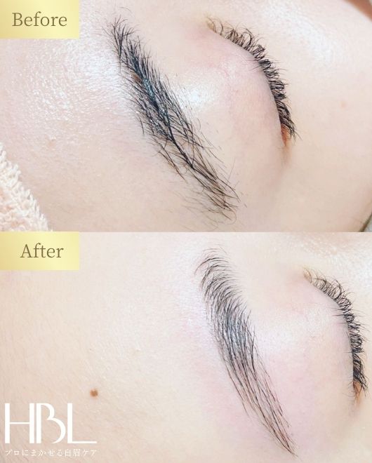 ハリウッドブロウリフト次世代アイブロウレディース